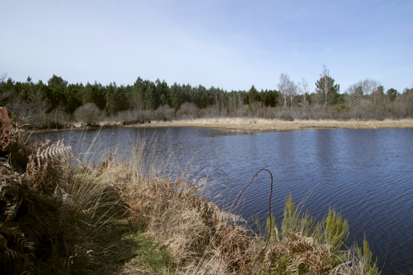 Photo prise en mars 2022 présentant une lagune avec un niveau d'eau élevé
