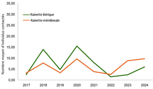 Nombre moyen de mâles chanteurs de rainette ibérique et de rainette méridionale entre 2017 et 2024